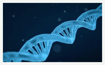 DNA Double Helix